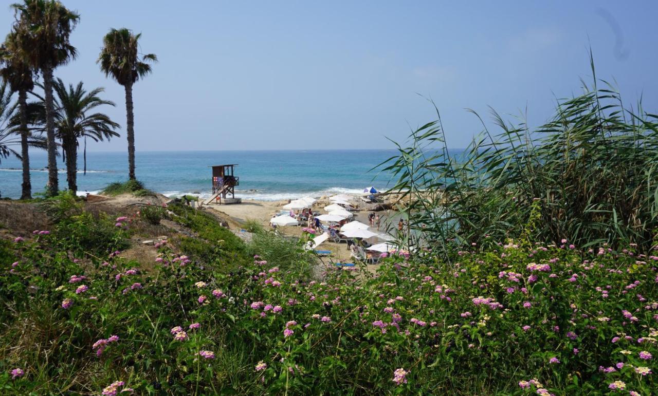 Limnaria Gardens Paphos, near beach Exterior foto